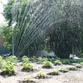 img_2770 img_2770