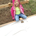 making the raised beds