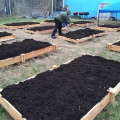 making the raised beds